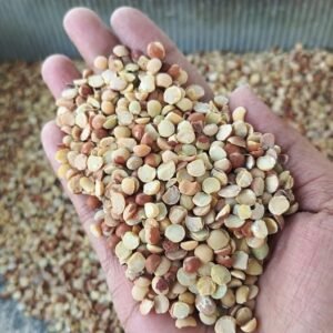 देसी अरहर दाल चिलका (Desi Arhar Dal with Chilka)