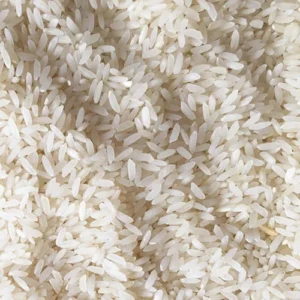 Sona Masuri Rice (सोना मसूरी चावल)