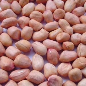Raw Peanuts(कच्ची मूँगफली)